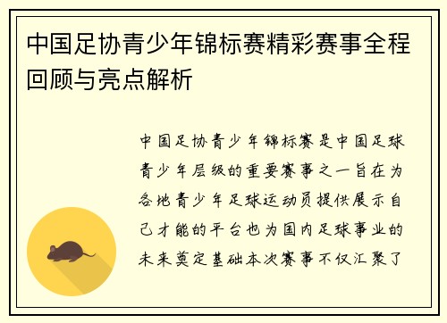 中国足协青少年锦标赛精彩赛事全程回顾与亮点解析