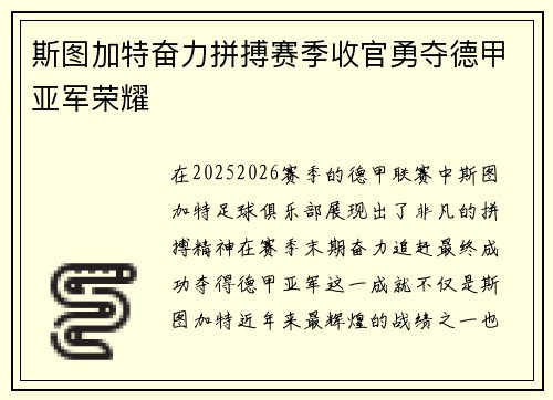 斯图加特奋力拼搏赛季收官勇夺德甲亚军荣耀